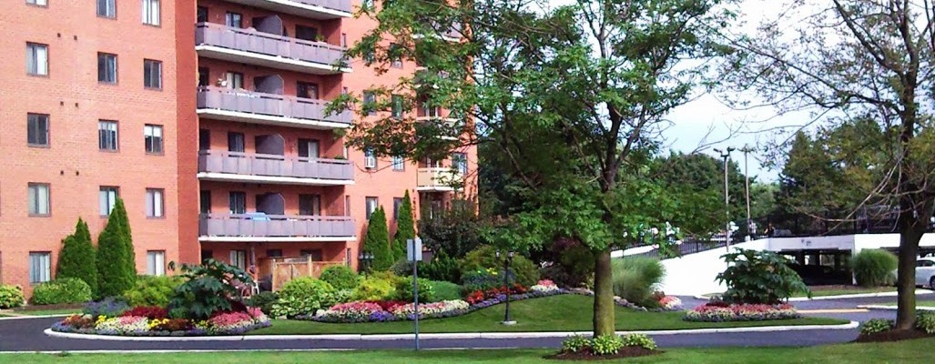 Commercial Landscaping